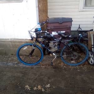 Meet your Posher, Maurice